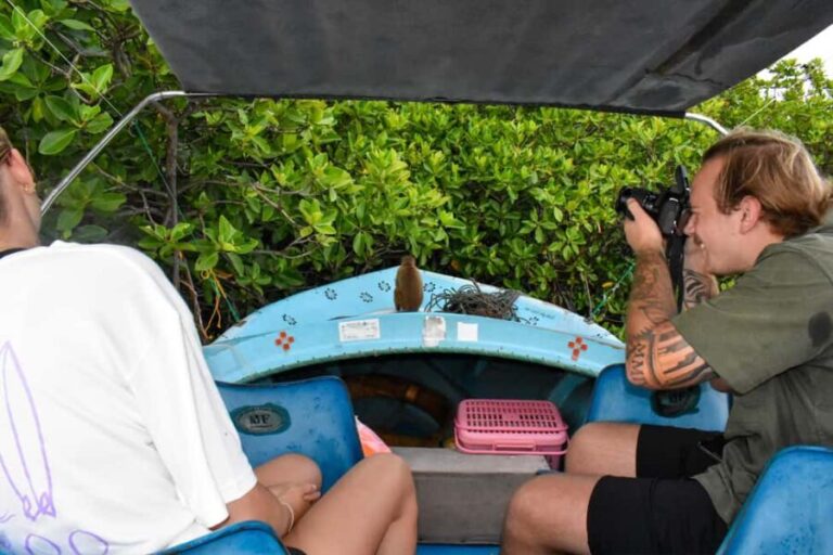 Negombo: Sunset lagoon boat tour with hotel transfers - Final Thoughts