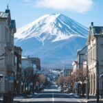 New Chitose Airport(CTS): Private Transfer to/from Niseko/Sapporo - Why This Transfer Is Worth Your Consideration