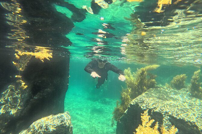 Nha Trang Half-Day Snorkeling Adventure at Marine Park with BBQ - Final Thoughts: Is It Worth It?