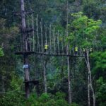 Nha Trang Zipline Canopy Adventure  Jungle Flight Experience - Who Should Consider This Tour?