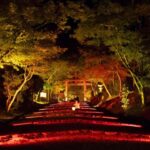 Night Gagaku Concert at Hiyoshi Taisha Shrine - The Sum Up