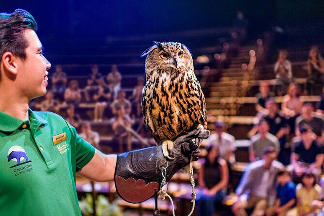 Night Safari Tickets with Tram Ride - A Detailed Look at the Night Safari Experience