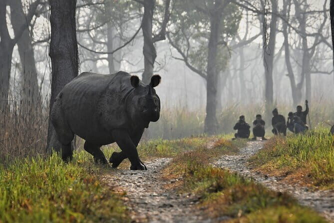 Night Stay in Chitwan National Park, 2 Nights 3 Days Package - Day 2: Safari and Jungle Tower Stay