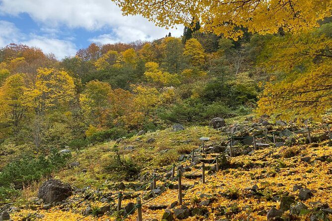 Niigata Private Customizable Full Day Tour - What You Can Expect from the Niigata Private Customizable Tour