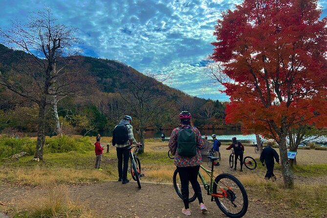 Nikko Cycling Tour with Local Guide - Who Is This Tour Best For?