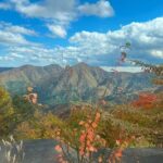 Nikko Guided Cycling Tour with a Local Monk - A Deep Dive into the Nikko Guided Cycling Tour