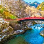 Nikko Luxury private Trip (Toshogu Shrine, Kegon Falls & Gyoza) - Practical Details and Final Thoughts