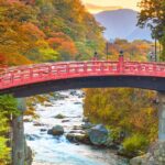Nikko Private Day Tour - English Guide - Shrine, Waterfall, Onsen - Who Will Love This Tour?