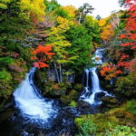 Nikko Private Day Trip with English Speaking Driver From Tokyo - Who Will Love This Tour?