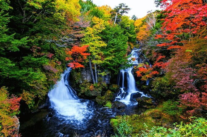Nikko Private Day Trip with English Speaking Driver From Tokyo - Who Will Love This Tour?