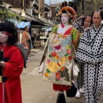 Nikko Private Tour Water falls Toshogu Shrines and Edo wonderland - Transport, Timing, and Value