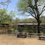 Nikko Private Tour With English Speaking Driver - Practical Aspects of the Tour