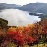 Nikko private tour with English speaking guide - Who Will Love This Tour?