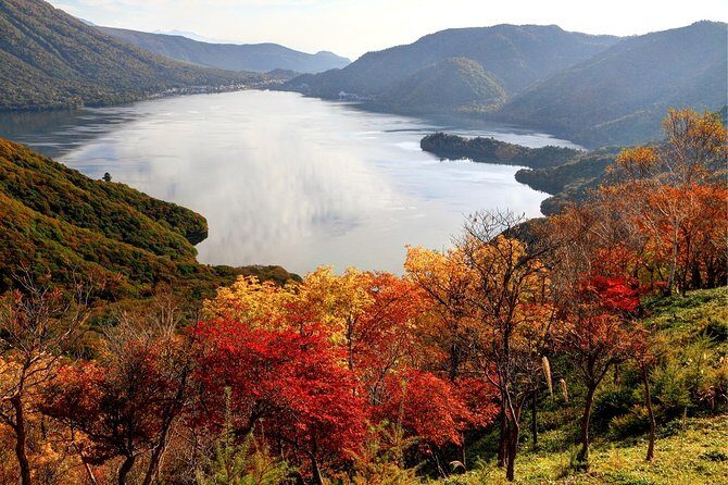 Nikko private tour with English speaking guide - Who Will Love This Tour?