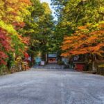 Nikko: Shrine, Waterfall and Autumn Leaves by Car (Private Tour) - Exploring Nikko: An Authentic Day Out from Tokyo
