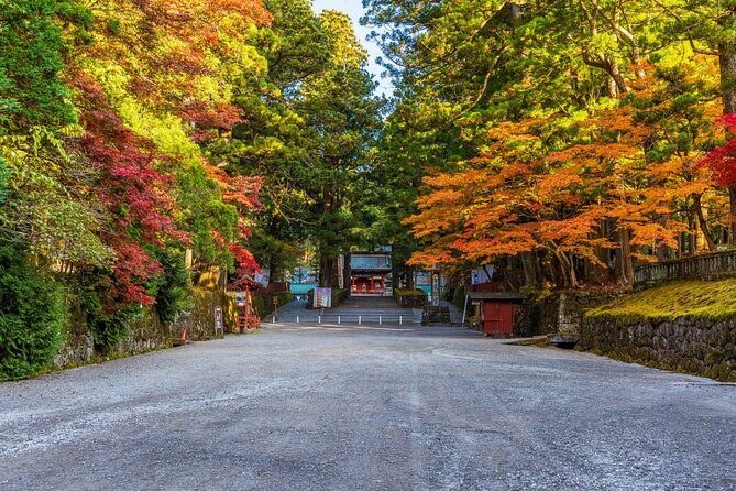 Nikko: Shrine, Waterfall and Autumn Leaves by Car (Private Tour) - Exploring Nikko: An Authentic Day Out from Tokyo