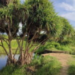 Nilaveli: Crocodile Lake with Lagoon Boat Safari - Who Should Consider This Tour?