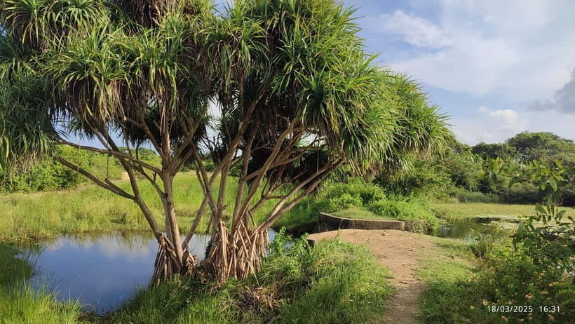 Nilaveli: Crocodile Lake with Lagoon Boat Safari - Who Should Consider This Tour?