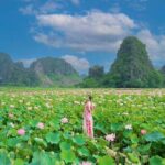 Ninh Binh 1 Day: Hoa Lu & Trang An & Mua Cave - Final Thoughts