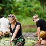 Ninh Binh: Rice planting and fishing by basket tour - Final Thoughts: Why Choose This Tour?