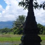 "No.1 Chiang Mai: Half Day Rice Field Vision Mountain Biking " - Detailed Tour Breakdown