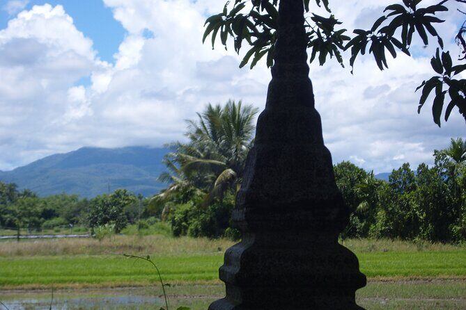 "No.1 Chiang Mai: Half Day Rice Field Vision Mountain Biking " - Detailed Tour Breakdown