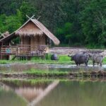 "No.1 Chiang Mai: Leisure Bicycle Ride to Lake Huay Tueng Tao" - Who Will Love This Tour?
