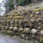 No Emission Car and Bullet Train Kyoto Shore Excursion from Kobe - The Sum Up