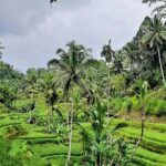 North Bali Tour - Best Scenery - Private Tour All Inclusive - Final Thoughts: Is This Tour Right for You?