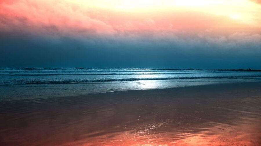 North Goa: Private Day Tour - Exploring North Goa: The Heart of the Tour