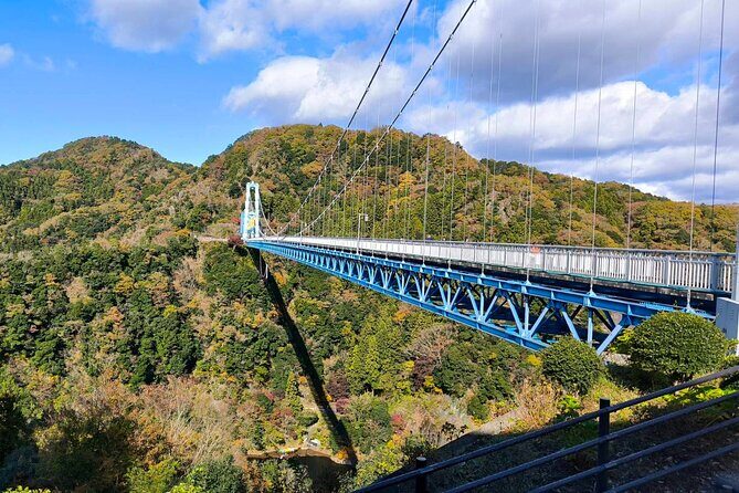 North Ibaraki Tour - What Makes This Tour Stand Out?