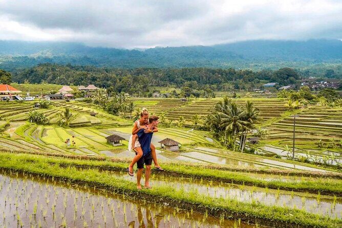 Northern Bali Tour - Private Full Day Tour - All Inclusive - The Sum Up: Is this tour right for you?
