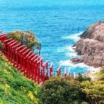 Northern Kyushu Day Tour Akiyoshido Cave and Motonosumi Inari - A Deep Dive into the Tour Experience