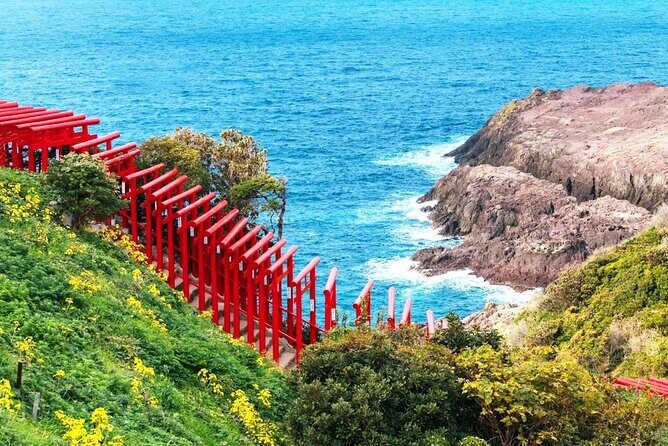 Northern Kyushu Day Tour Akiyoshido Cave and Motonosumi Inari - A Deep Dive into the Tour Experience