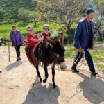 Nuratau Village Home Stay and Hiking tours from Bukhara - Why this tour is a great choice