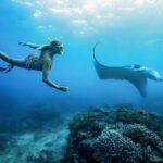Nusa Penida Private Snorkeling and Land Tour Start from Bali - Who Would Love This Tour?
