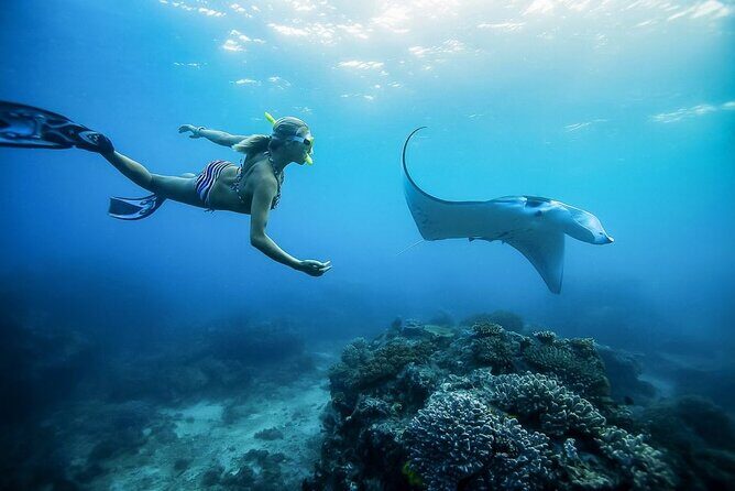 Nusa Penida Private Snorkeling and Land Tour Start from Bali - Who Would Love This Tour?