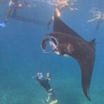 Nusa Penida Special Trip Snorkeling with Manta Rays and Land Tour - The Sum Up: Who Should Sign Up?