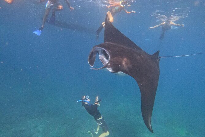 Nusa Penida Special Trip Snorkeling with Manta Rays and Land Tour - The Sum Up: Who Should Sign Up?