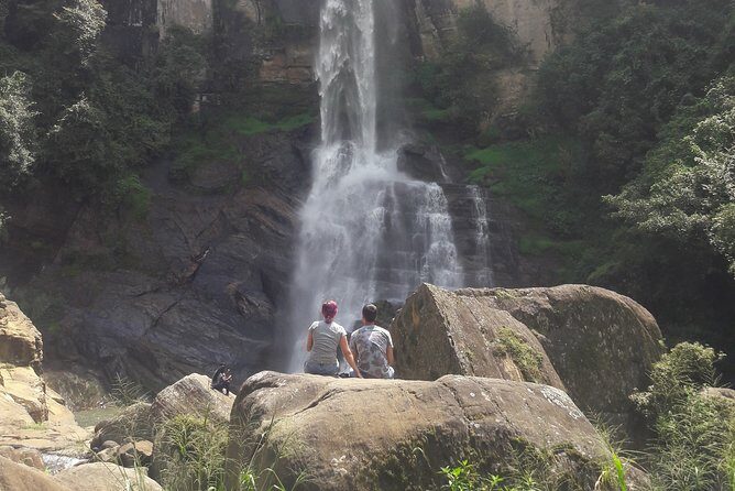 Nuwara Eliya Day Tour - Who Should Consider This Tour?