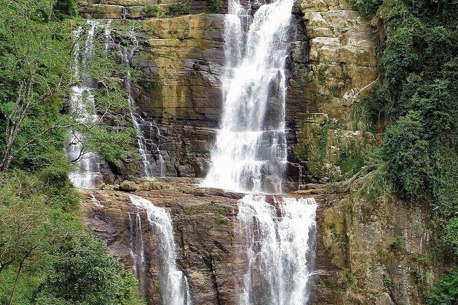 Nuwara Eliya Tea factory,plantation and Water Falls Tour - In-Depth Look at the Nuwara Eliya Tour Experience