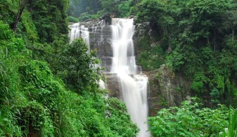 Nuwara Eliya Tour with Ramboda Waterfall, Ambuluwawa Tower - Who is This Tour Best Suited For?