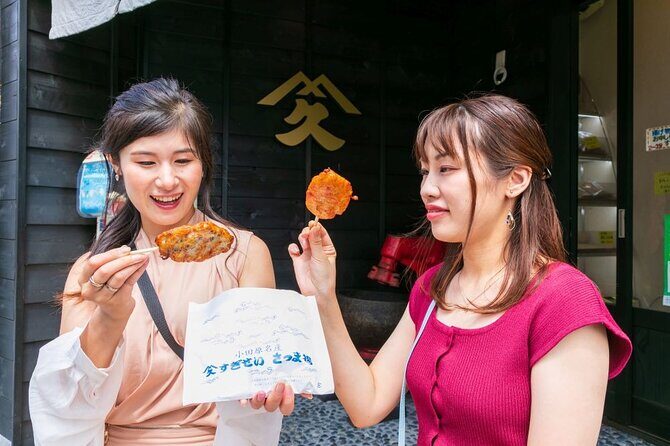 Odawara Castle and Town Guided Discovery Tour - A Deep Dive into Odawara Castle and Town Guided Tour