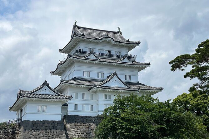 Odawara Castle Sightseeing Tour by Shinkansen - The Itinerary in Detail