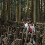 Oita: Shiitake Mushroom Farm Tour & Tasting - Who Is This Tour Best For?