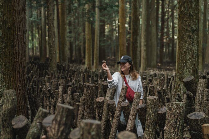 Oita: Shiitake Mushroom Farm Tour & Tasting - Who Is This Tour Best For?