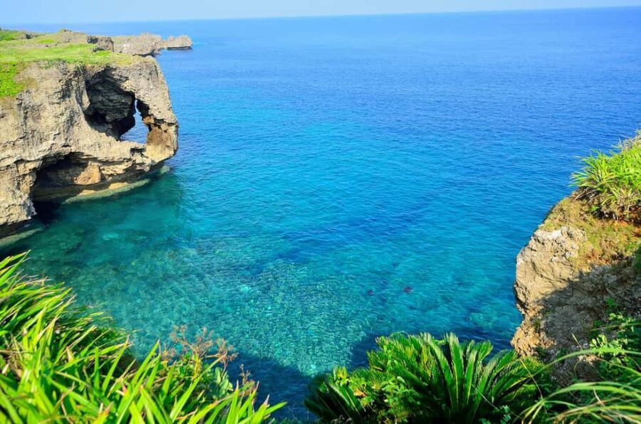 Okinawa: Churaumi Aquarium, Manzamo, Kouri Island Tour - A Deep Dive into the Okinawa Experience