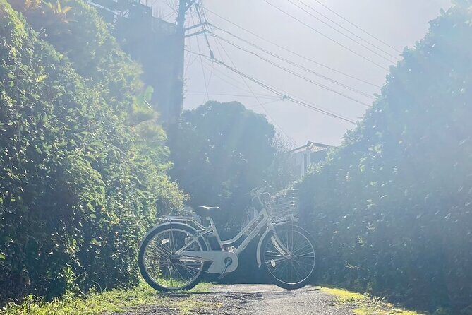 Okinawa E-bike Rental (CityCycle Type) - Who Will Love This Experience?