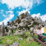 Okinawa Hip-hop Bus C Course Tour to Northern Island - Who Will Love This Tour?