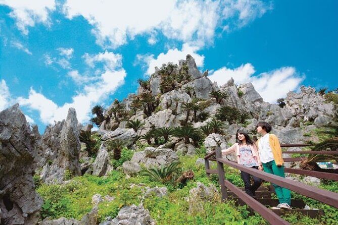 Okinawa Hip-hop Bus C Course Tour to Northern Island - Who Will Love This Tour?